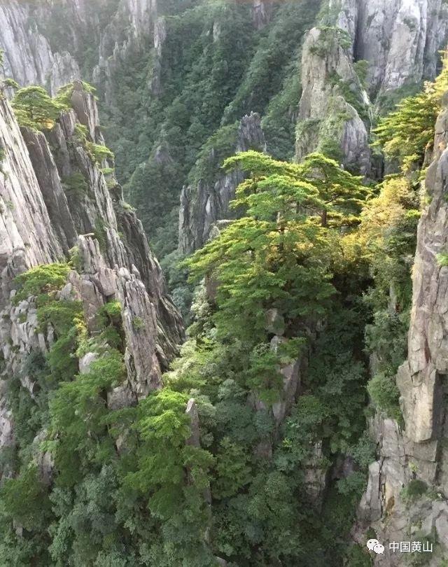 济南艺术生文化课卓星教育的教育资源优势